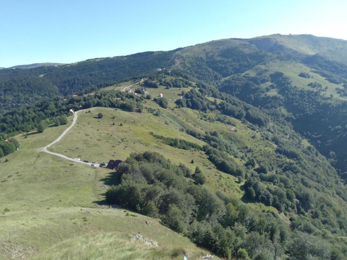 Vila Vikendica Vila Despotovic Kopaonik Exteriér fotografie