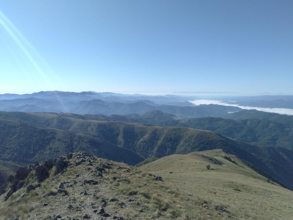 Vila Vikendica Vila Despotovic Kopaonik Exteriér fotografie