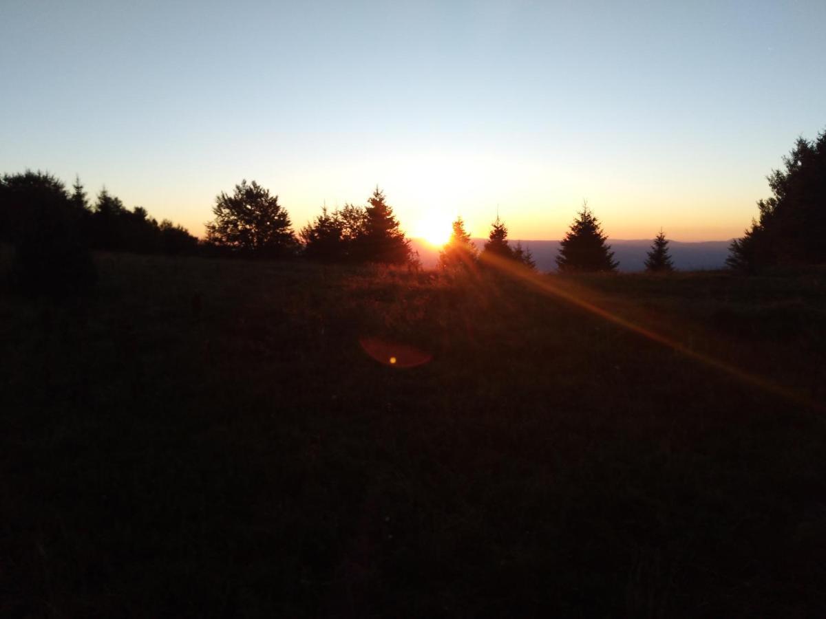 Vila Vikendica Vila Despotovic Kopaonik Exteriér fotografie