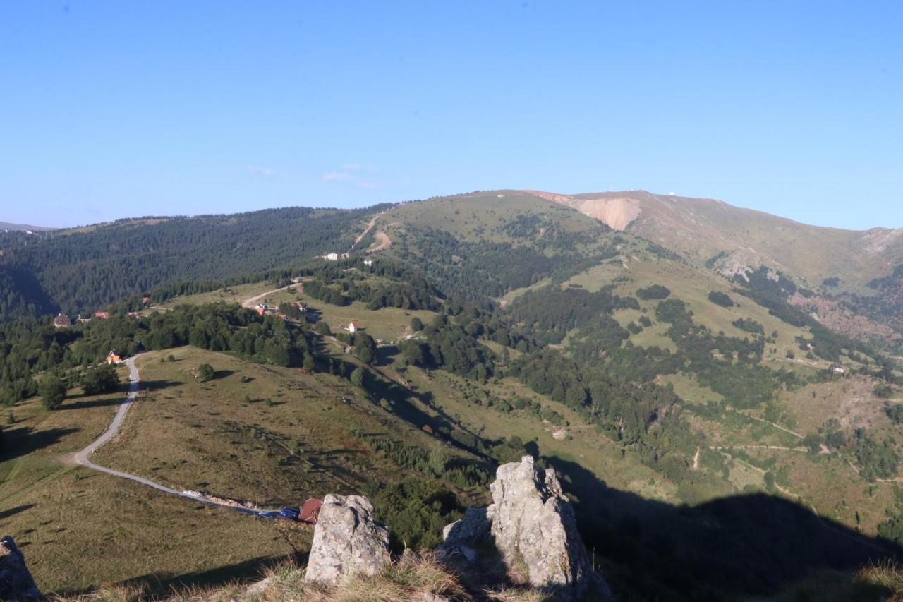 Vila Vikendica Vila Despotovic Kopaonik Exteriér fotografie