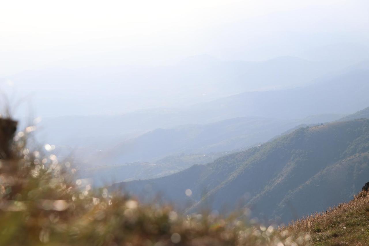 Vila Vikendica Vila Despotovic Kopaonik Exteriér fotografie