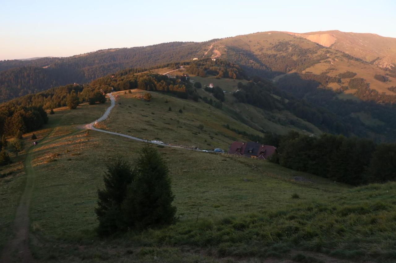 Vila Vikendica Vila Despotovic Kopaonik Exteriér fotografie