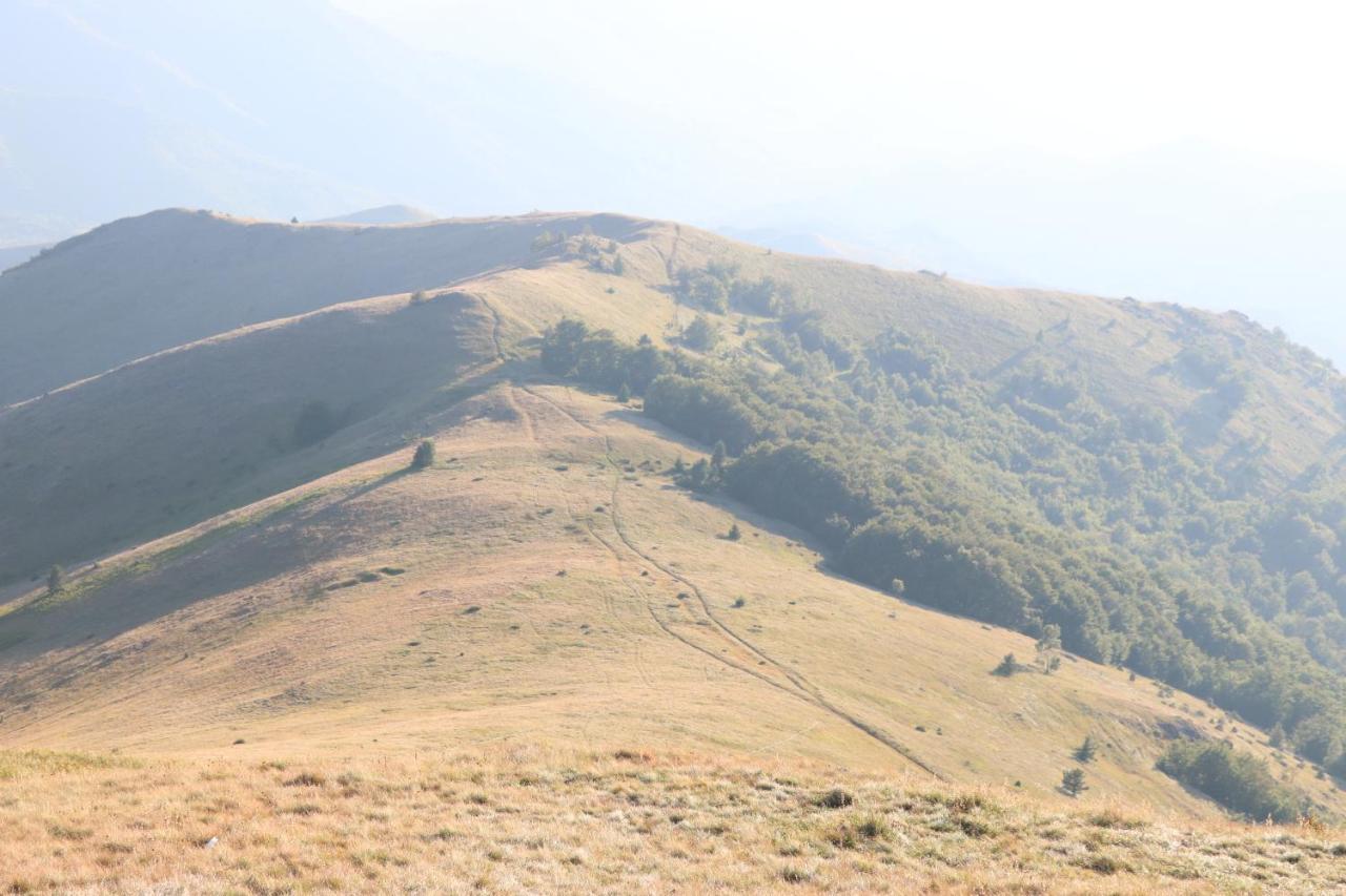 Vila Vikendica Vila Despotovic Kopaonik Exteriér fotografie