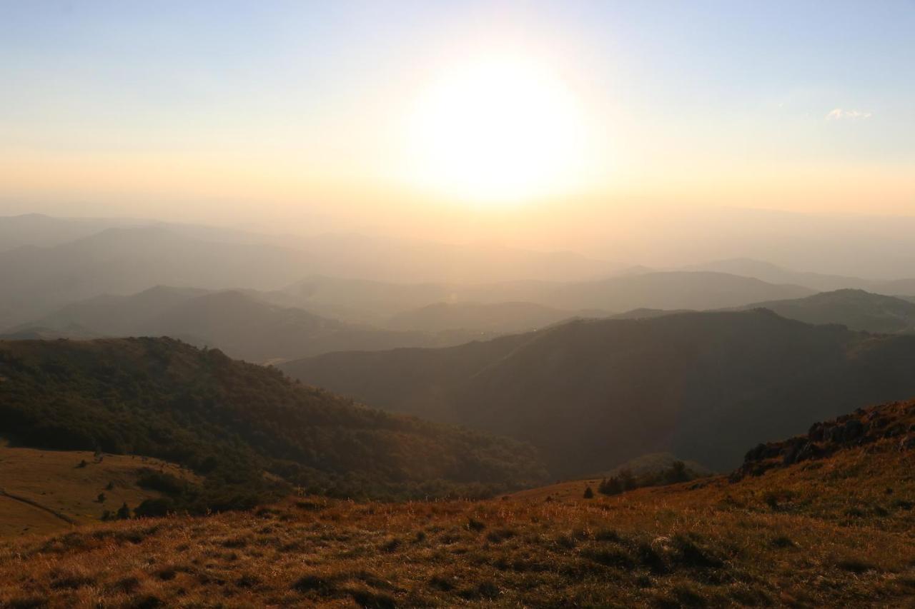 Vikendica Vila Despotovic Kopaonik Exteriér fotografie