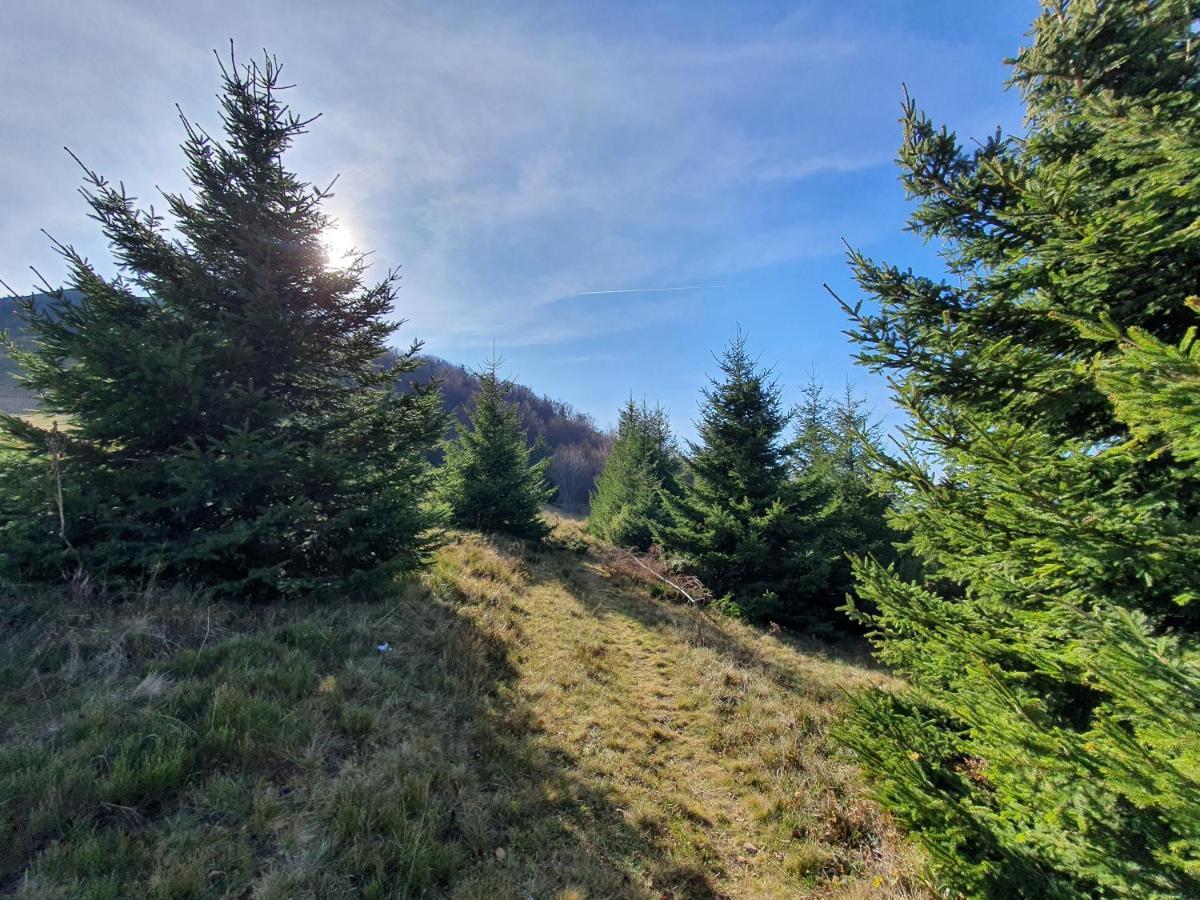 Vila Vikendica Vila Despotovic Kopaonik Exteriér fotografie