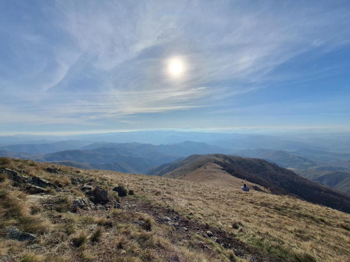 Vila Vikendica Vila Despotovic Kopaonik Exteriér fotografie