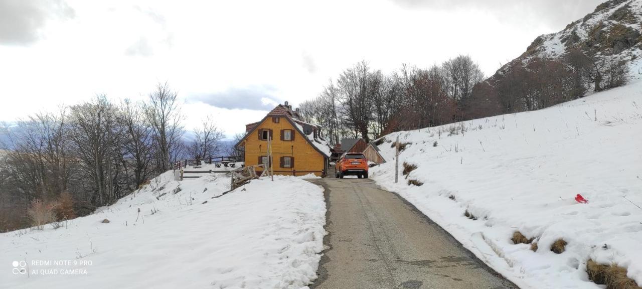 Vila Vikendica Vila Despotovic Kopaonik Exteriér fotografie