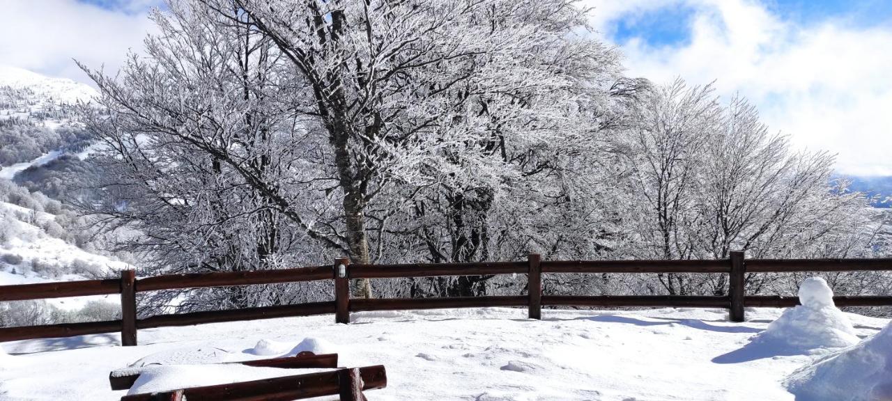 Vila Vikendica Vila Despotovic Kopaonik Exteriér fotografie