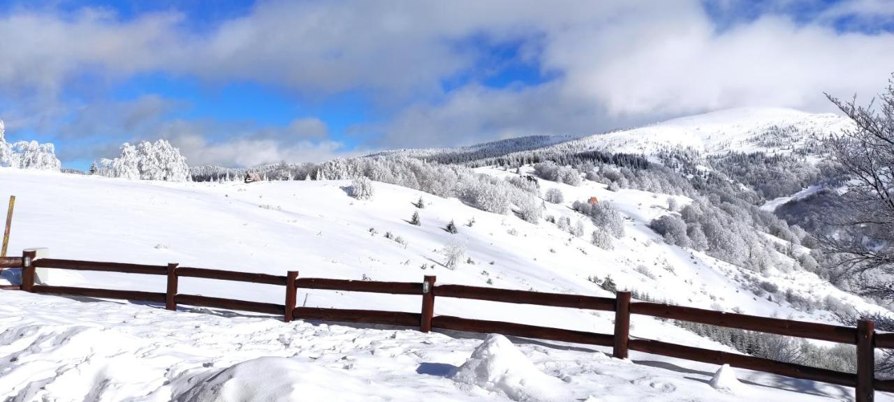 Vila Vikendica Vila Despotovic Kopaonik Exteriér fotografie