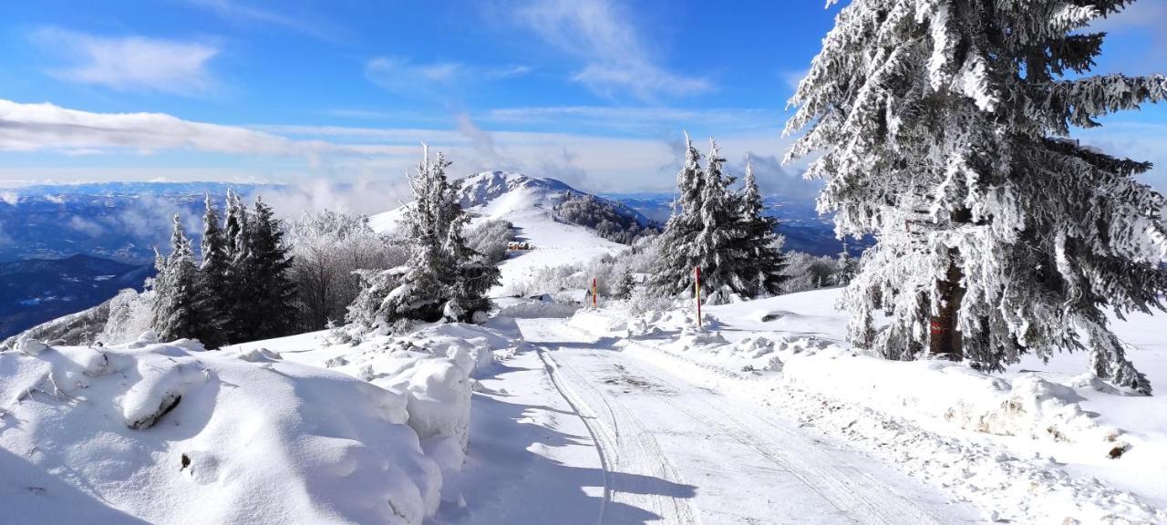 Vikendica Vila Despotovic Kopaonik Exteriér fotografie