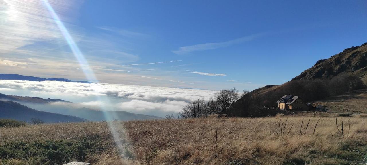 Vila Vikendica Vila Despotovic Kopaonik Exteriér fotografie