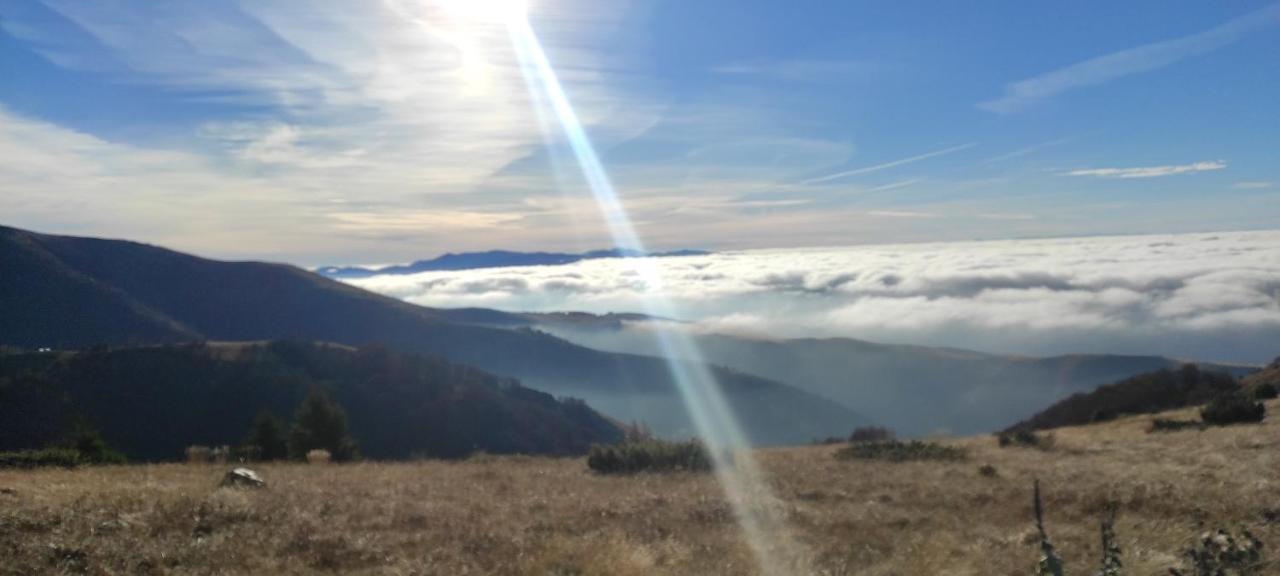Vikendica Vila Despotovic Kopaonik Exteriér fotografie