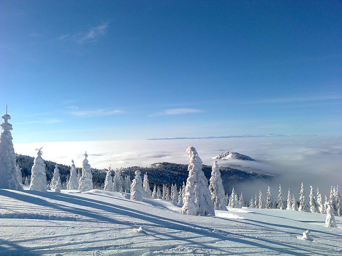 Vila Vikendica Vila Despotovic Kopaonik Exteriér fotografie