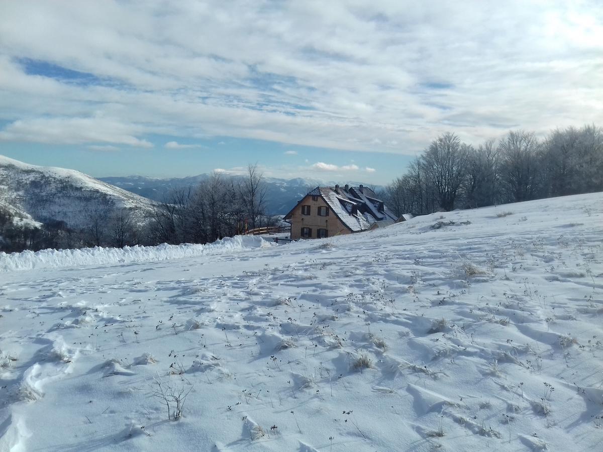 Vila Vikendica Vila Despotovic Kopaonik Exteriér fotografie