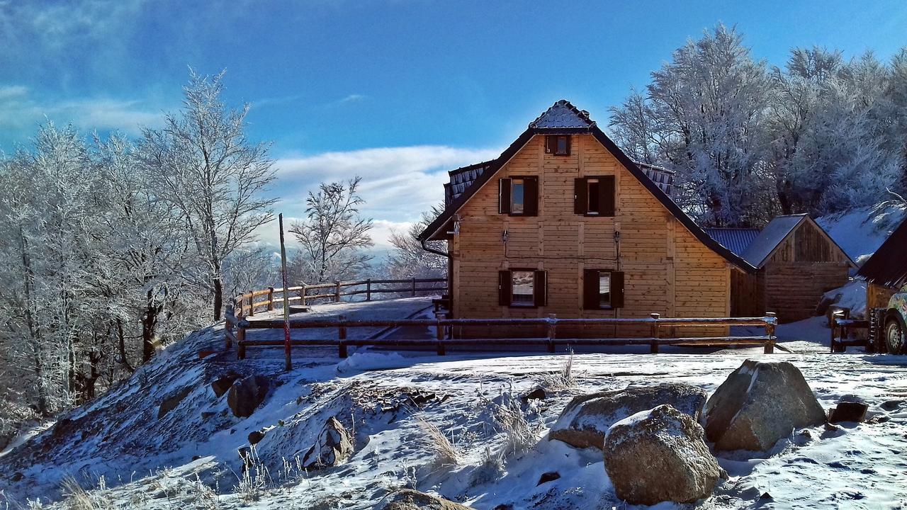 Vila Vikendica Vila Despotovic Kopaonik Exteriér fotografie