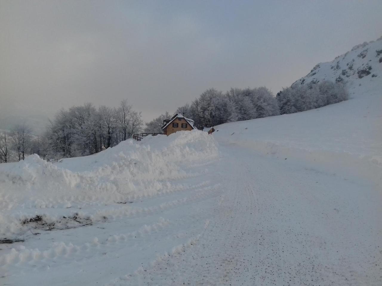 Vila Vikendica Vila Despotovic Kopaonik Exteriér fotografie