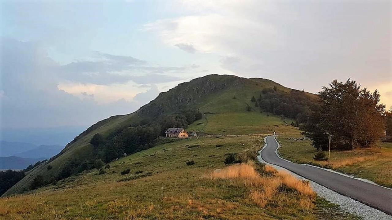 Vila Vikendica Vila Despotovic Kopaonik Exteriér fotografie