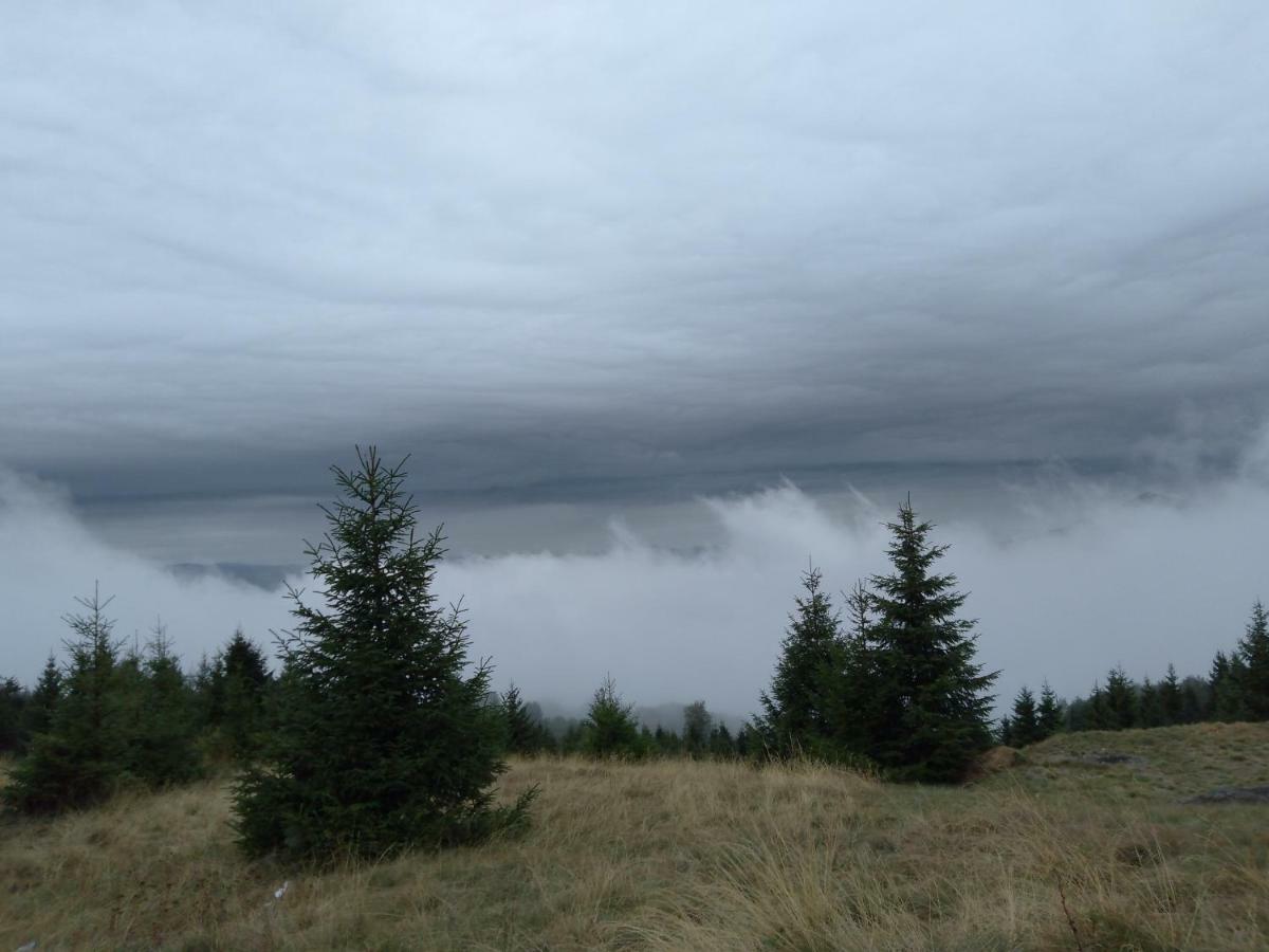 Vila Vikendica Vila Despotovic Kopaonik Exteriér fotografie